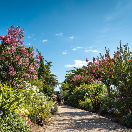 promenade fleurie mimizan été printemps landes