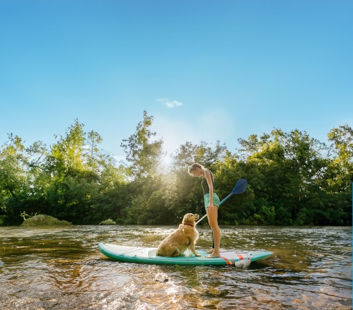 en vacances avec son chien à Mimizan